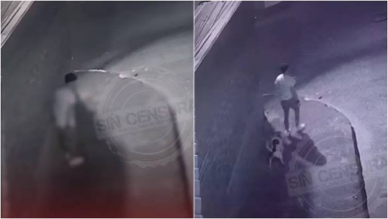 Aberrante caso de zoofilia genera indignación en toda una comunidad